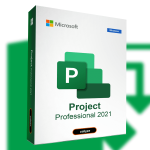 Project 2021 peofessional