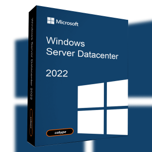 Windows-Server-Datacenter-2022