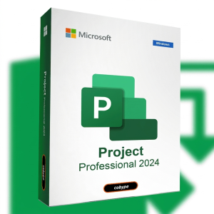 project 2024 professional
